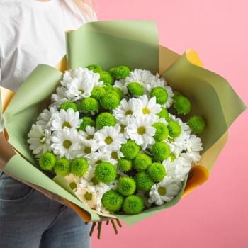 15 белых и зеленых кустовых хризантем