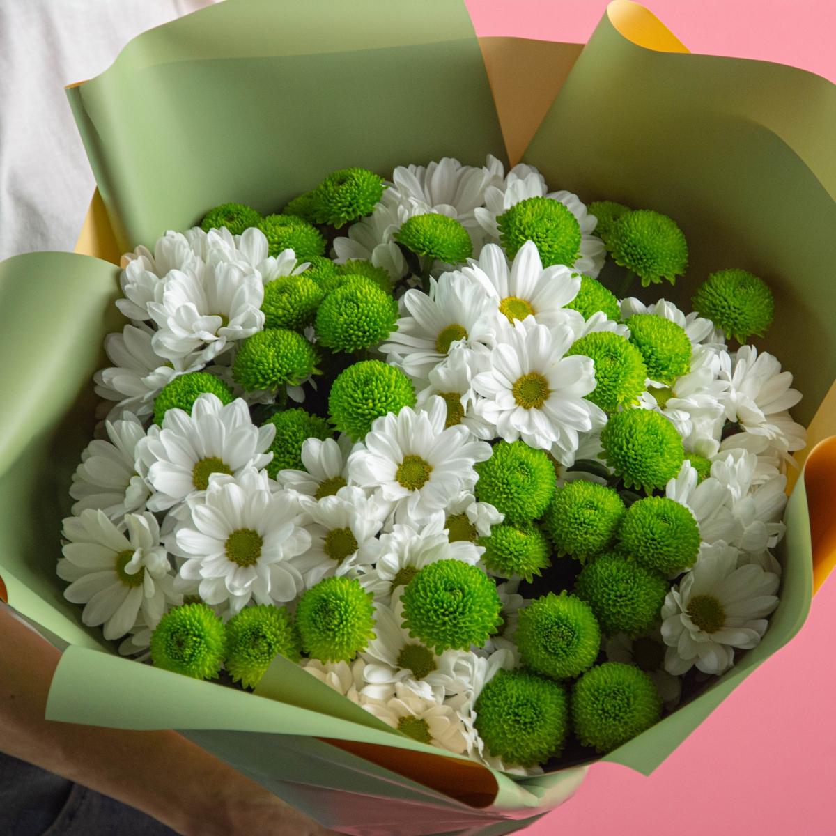 15 белых и зеленых кустовых хризантем