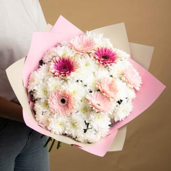 9 белых кустовых хризантем с розовыми герберами