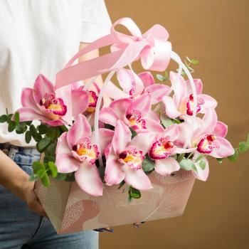 Розовый цимбидиум в сумке для цветов