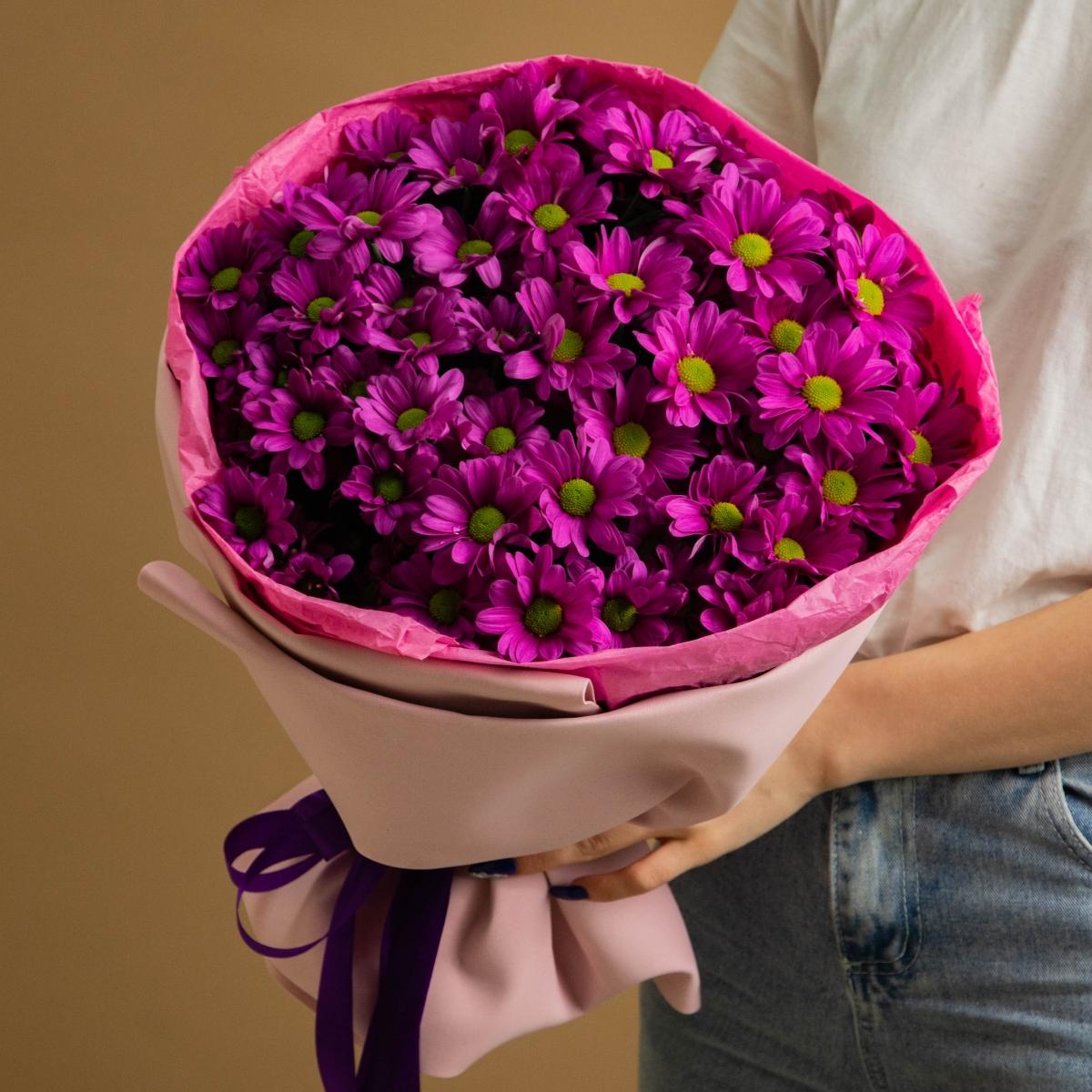 11 фиолетовых кустовых хризантем