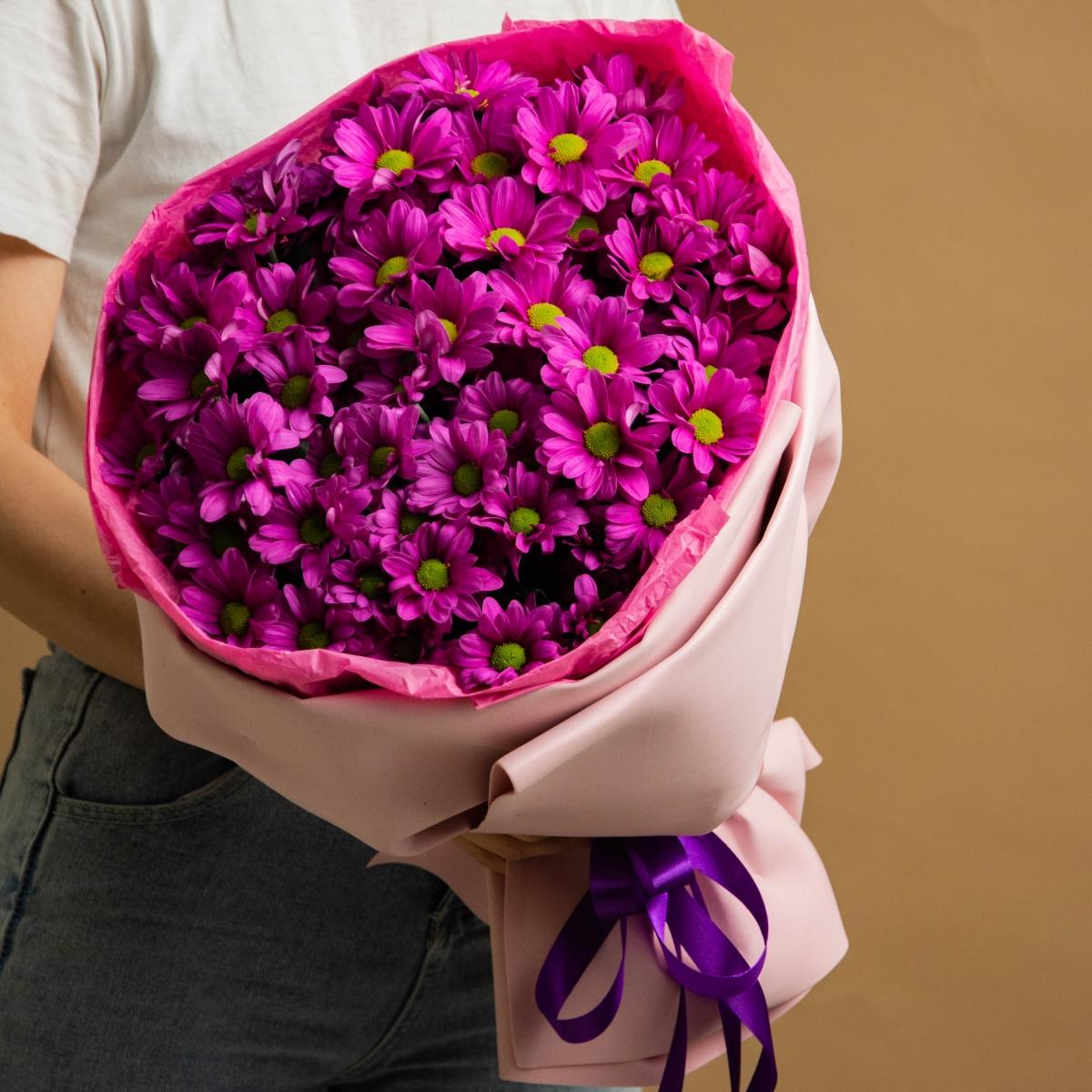 11 фиолетовых кустовых хризантем
