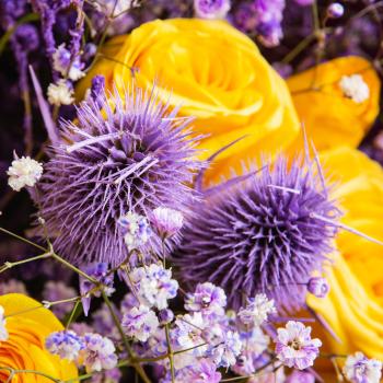 Комплимент купить с доставкой за 3998 ? в Нижнем Новгороде | База Цветов 24