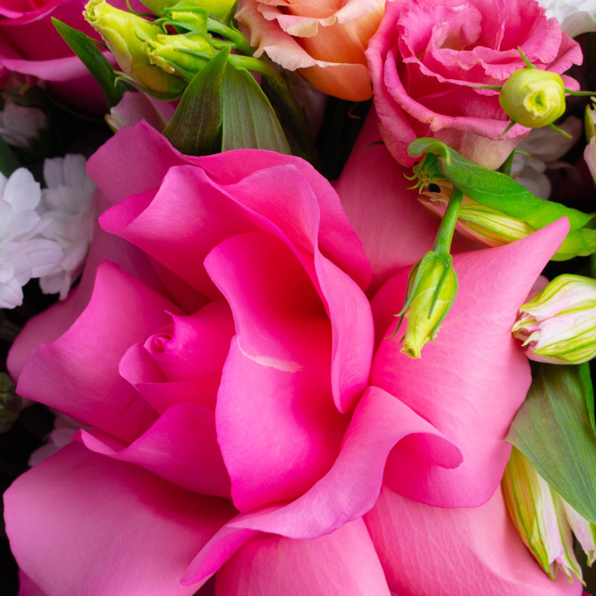 Букет с 5 розовыми розами и хризантемами