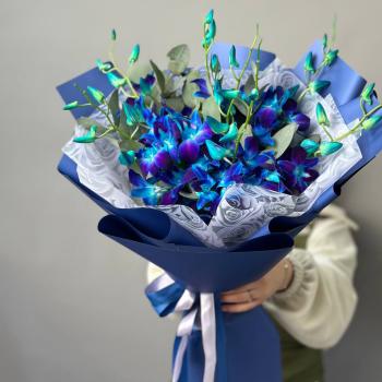 15 синих орхидей