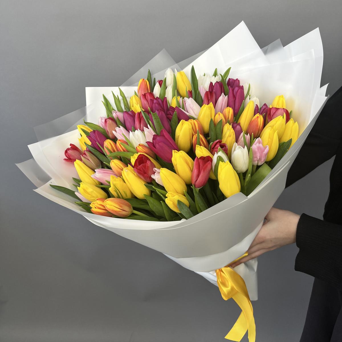 101 тюльпан микс