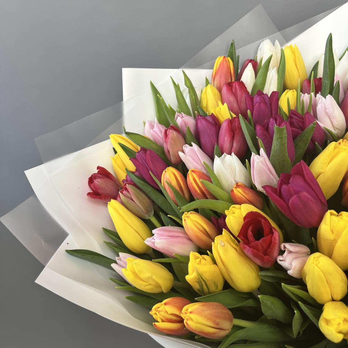 101 тюльпан микс