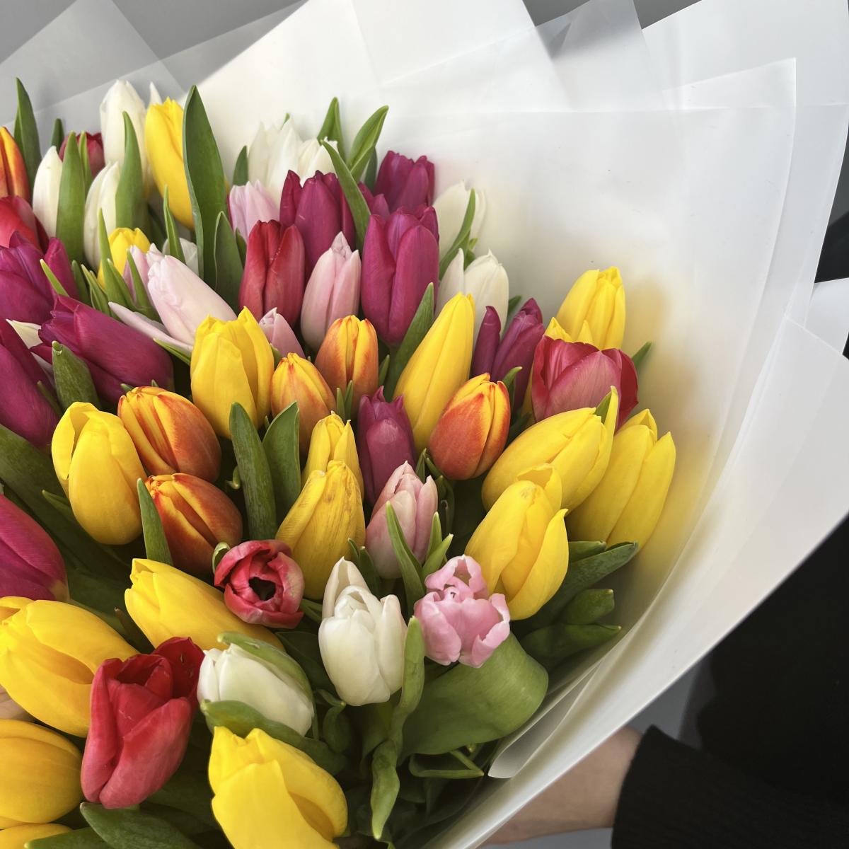 101 тюльпан микс