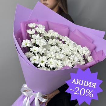 11 ромашек