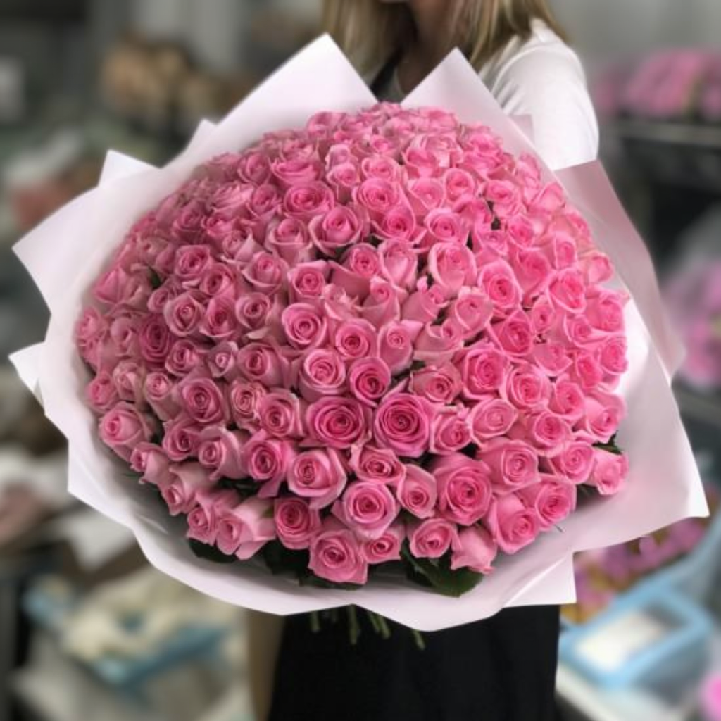 151 розовая роза