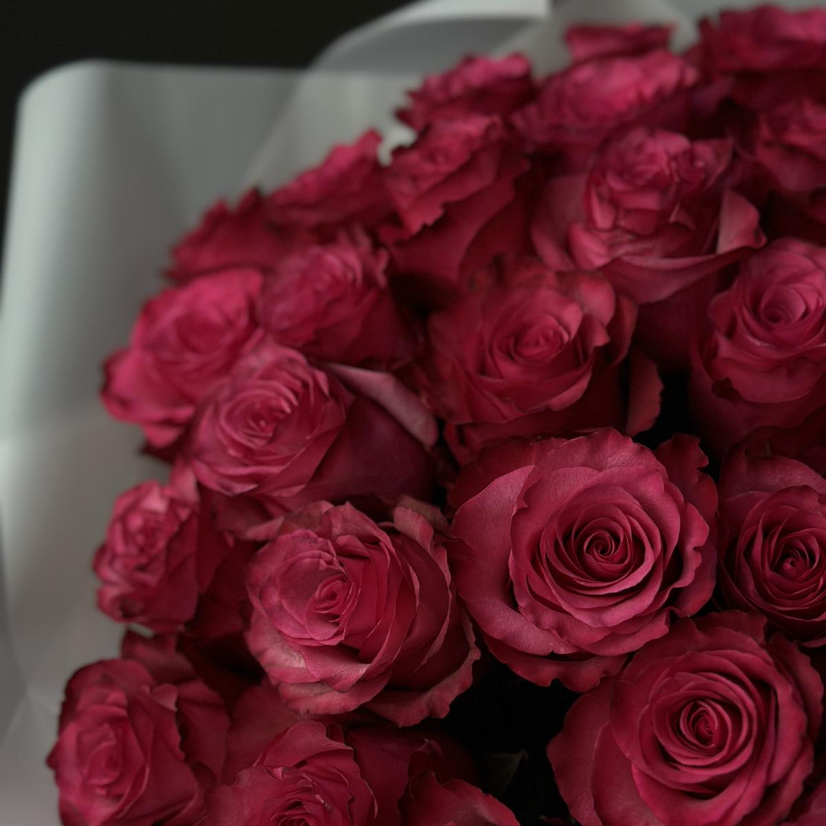 31 лиловая роза