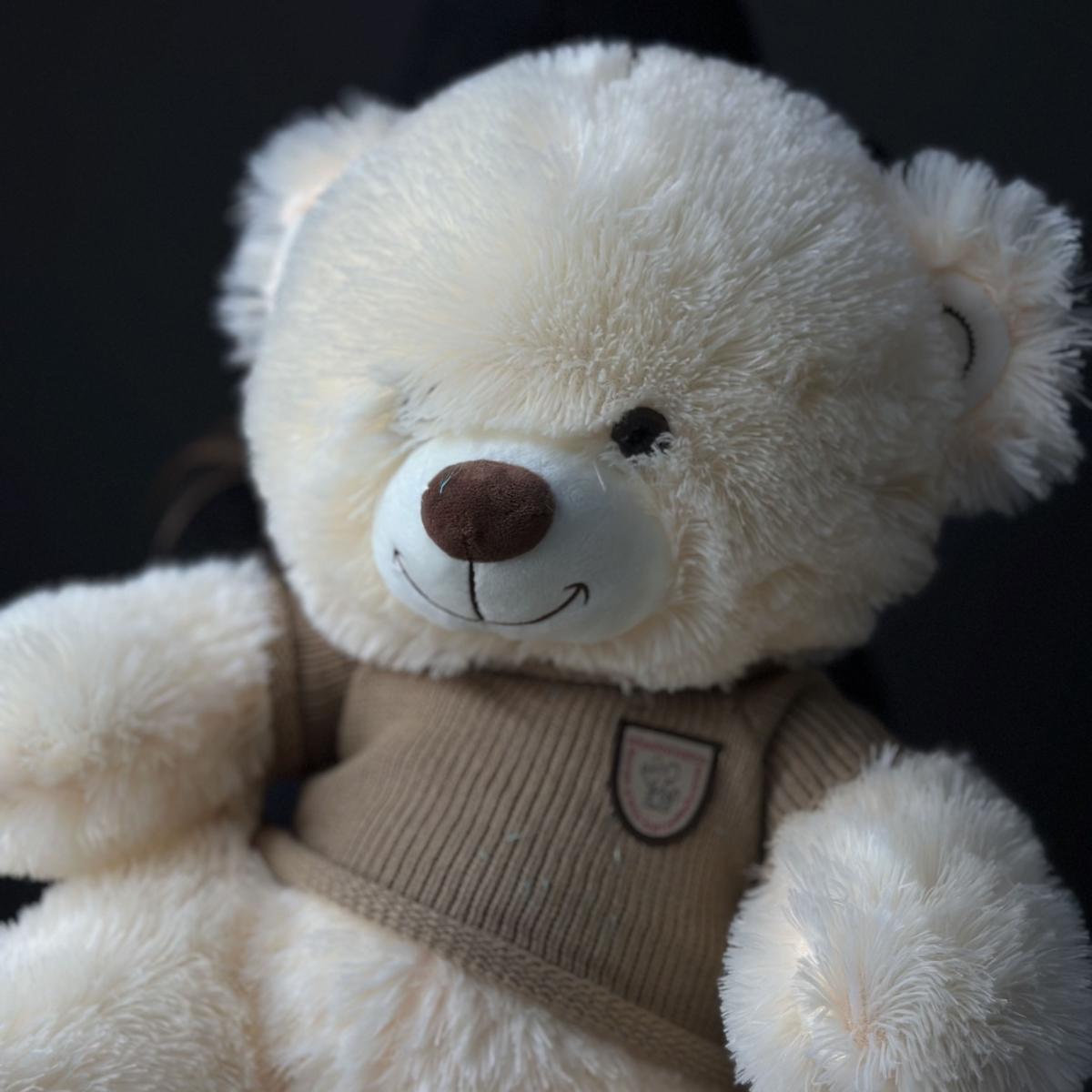 Мягкая игрушка Мишка 70 см