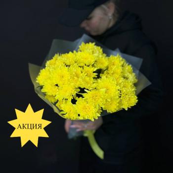 5 жёлтых кустовых хризантем