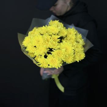 5 жёлтых кустовых хризантем