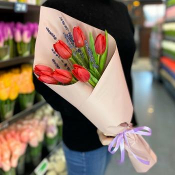 7 красных тюльпанов