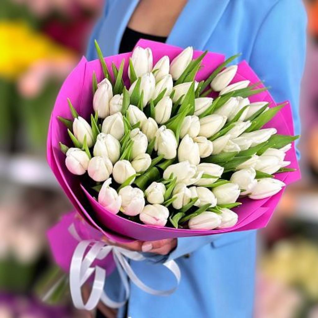 51 белый тюльпан