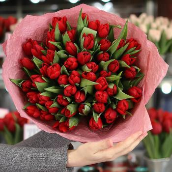 51 красный тюльпан