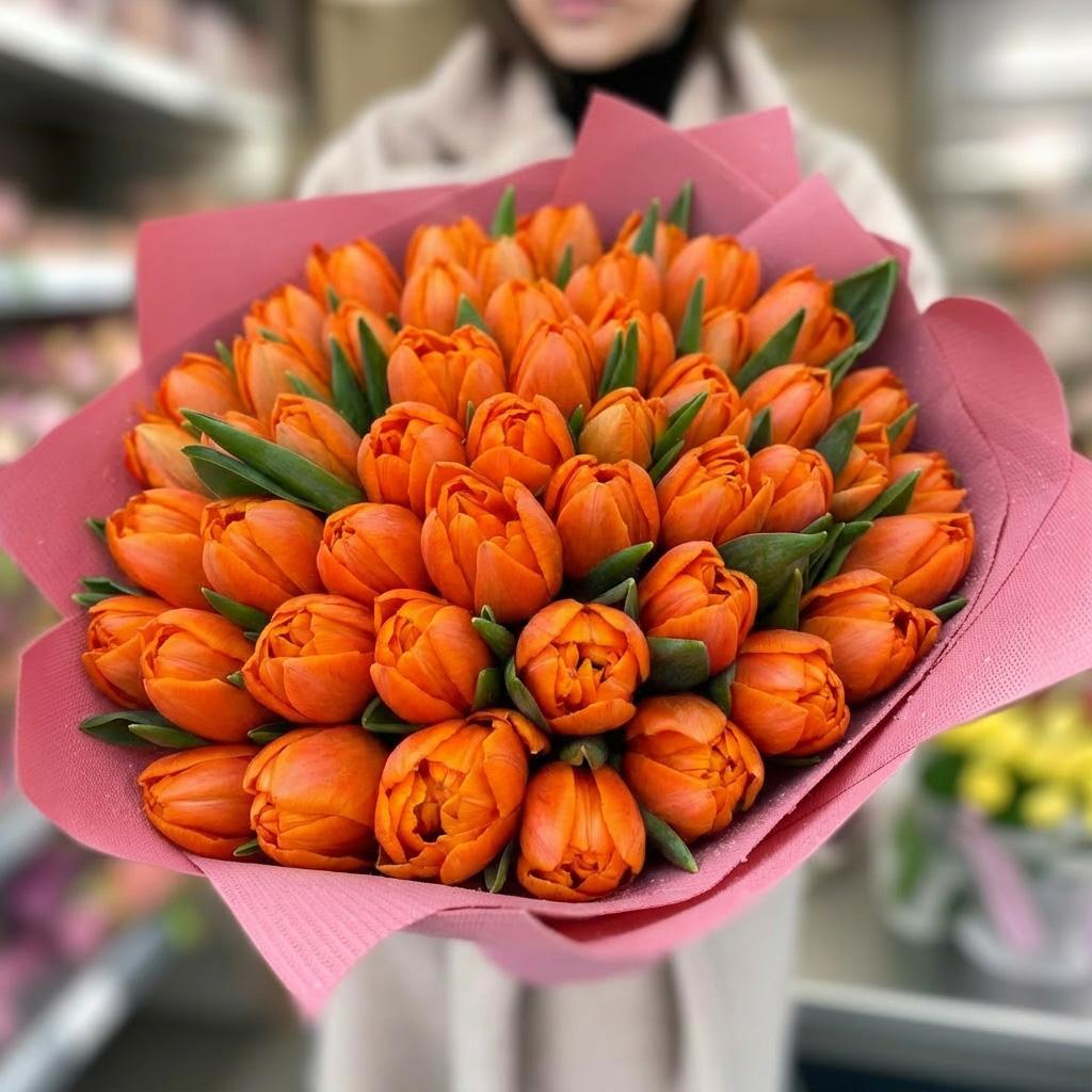 51 оранжевый тюльпан