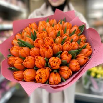 51 оранжевый тюльпан