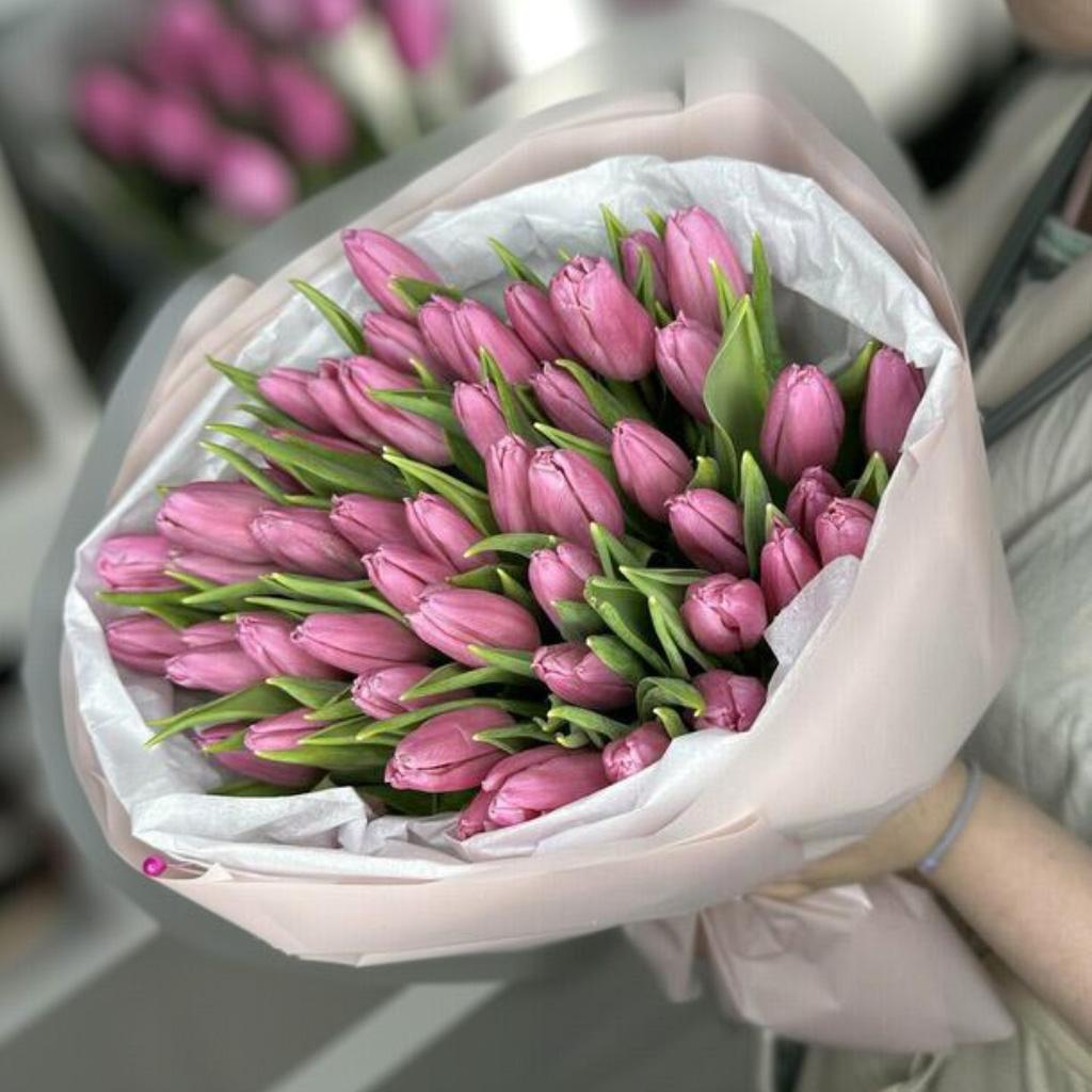51 розовый тюльпан