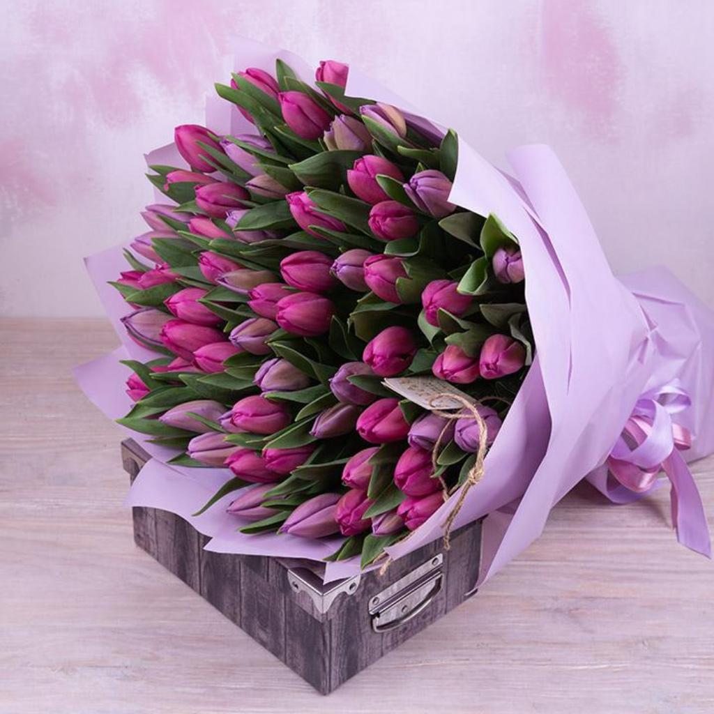 51 фиолетовый тюльпан