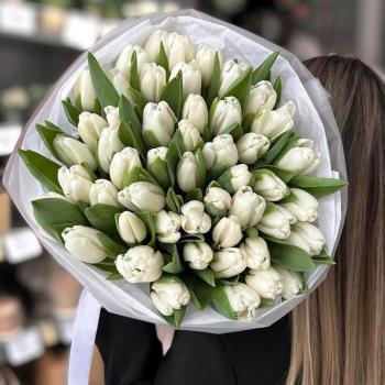45 белых тюльпанов