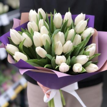 29 белых тюльпанов