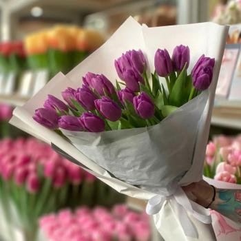 21 фиолетовый тюльпан