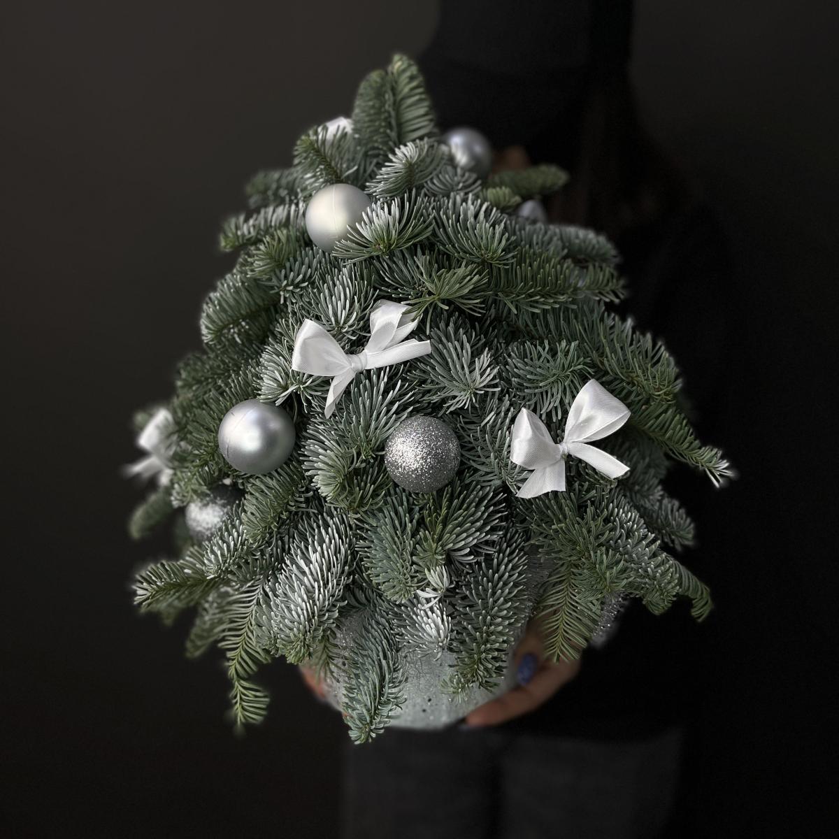 Ёлка из нобилиса в коробке