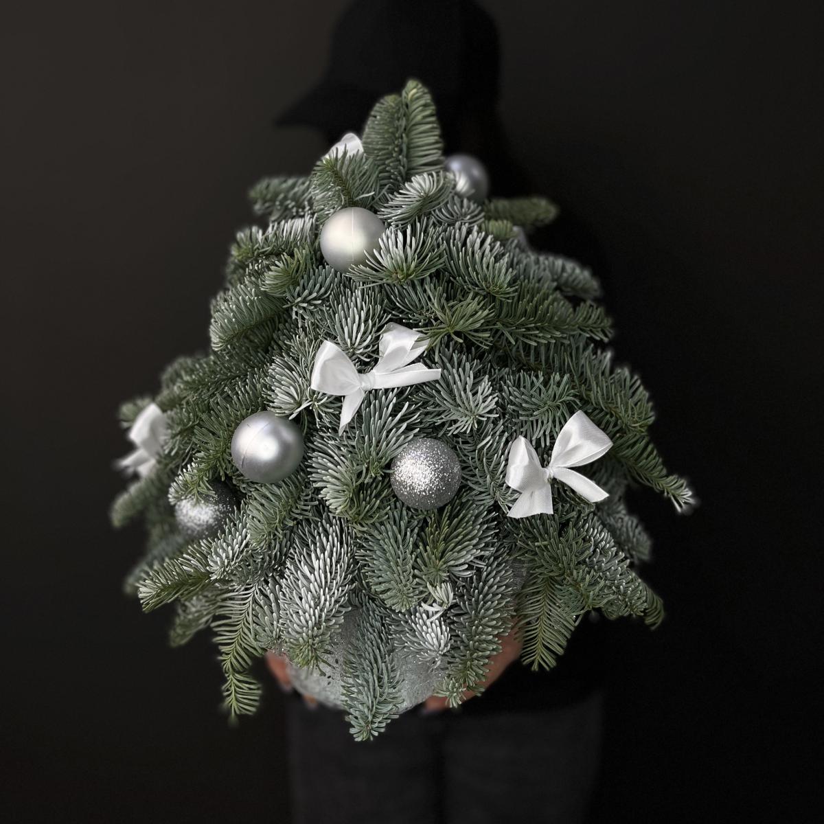 Ёлка из нобилиса в коробке