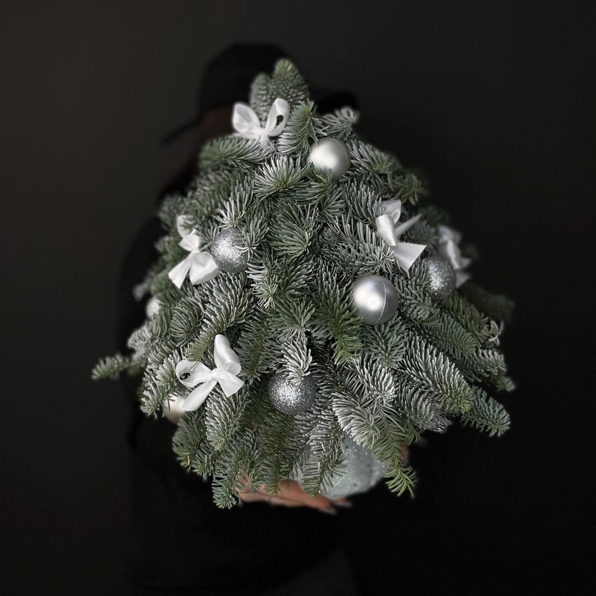 Ёлка из нобилиса в коробке