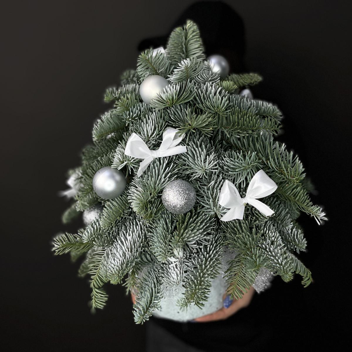 Ёлка из нобилиса в коробке