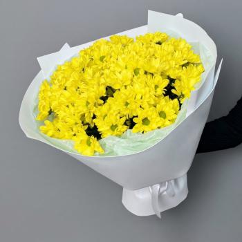 15 жёлтых хризантем в белой упаковке