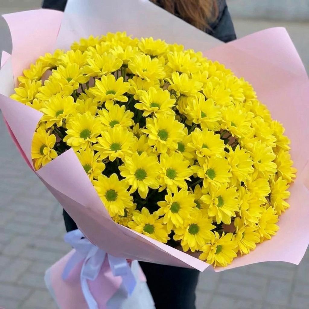 25 жёлтых кустовых хризантем Бакарди