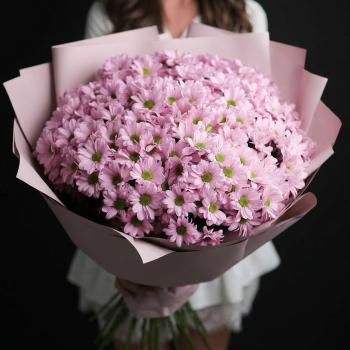 Букет из 25 розовых хризантем
