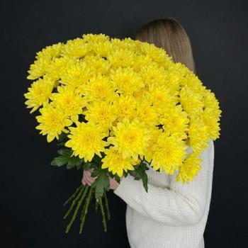 Букет 25 желтых хризантем
