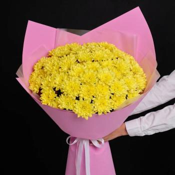 25 хризантем в розовой упаковке