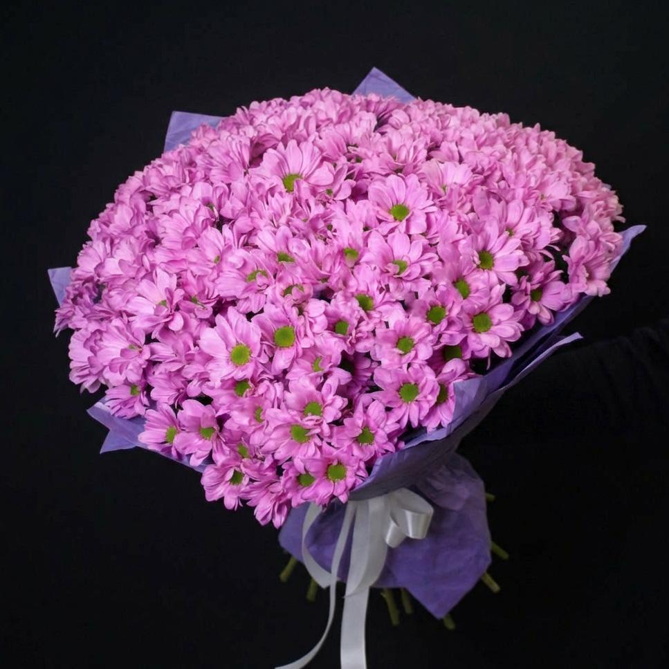25 розовых хризантем