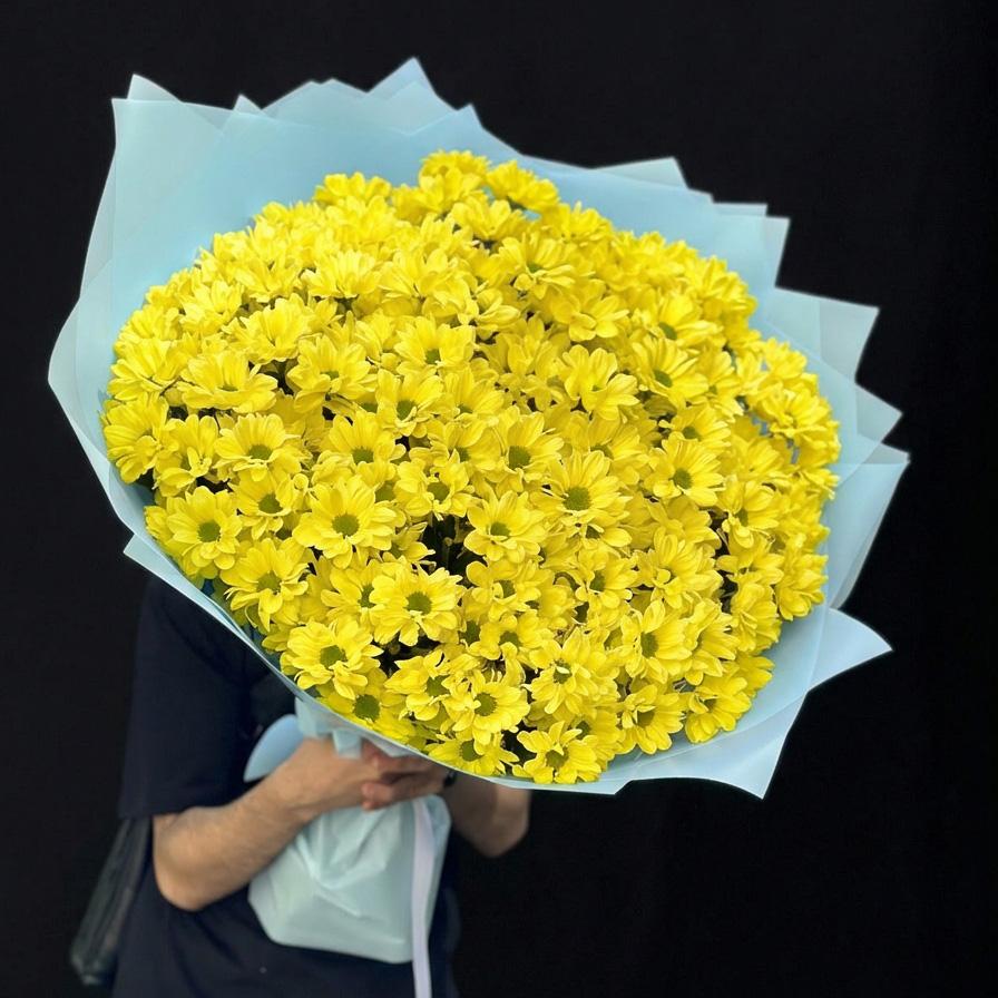 25 желтых хризантем