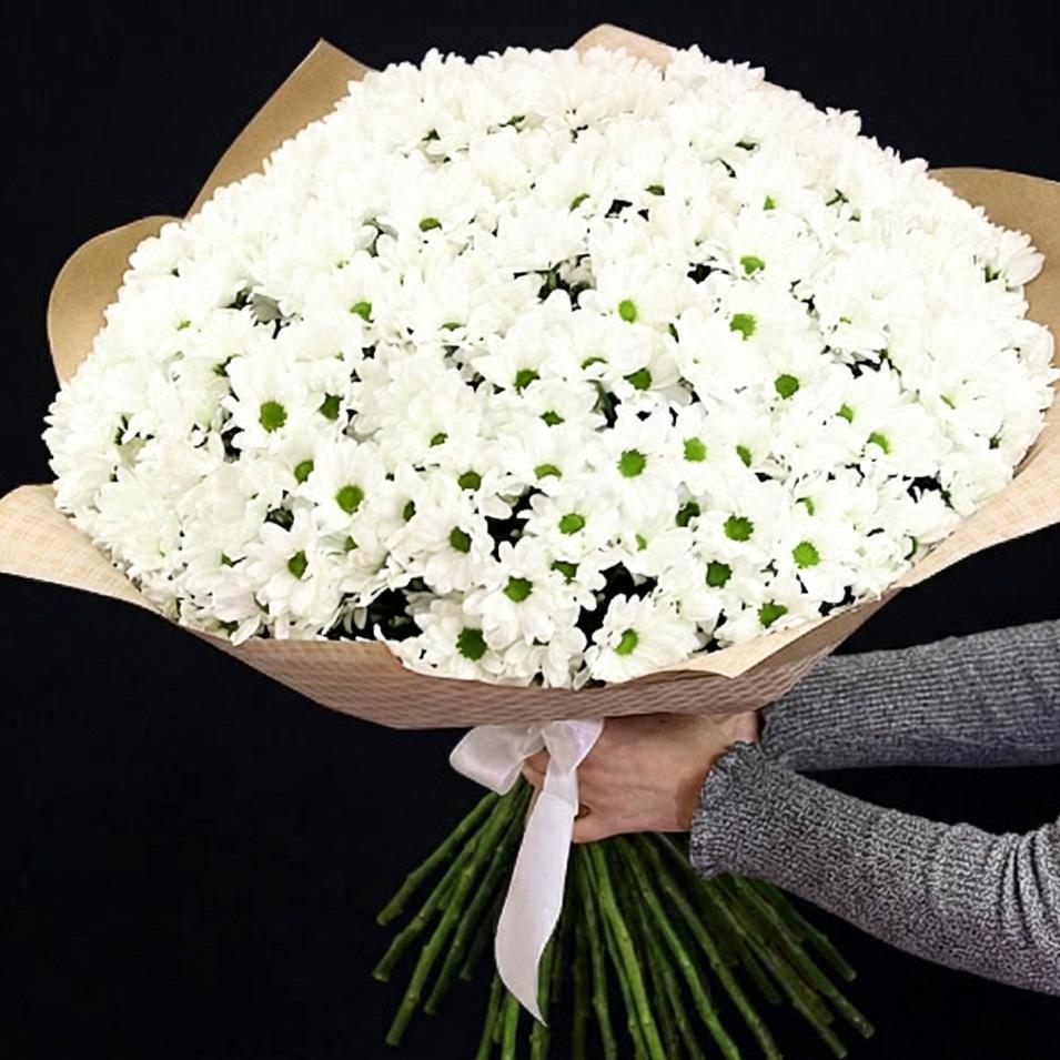 51 белая хризантема в крафте