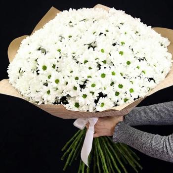 51 белая хризантема в крафте