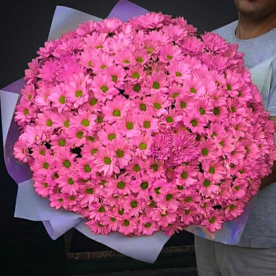 51 розовая хризантема в голубой упаковке