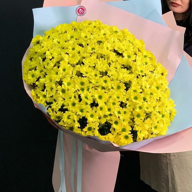 51 желтая хризантема в яркой упаковке
