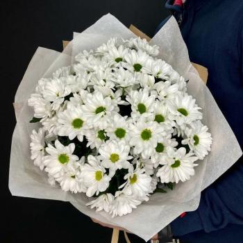 9 белых хризантем