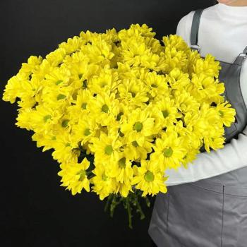 9 кустовых желтых хризантем