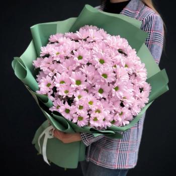 9 кустовых розовых хризантем