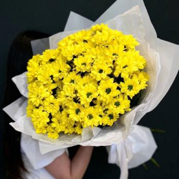 9 желтых хризантем в белой упаковке