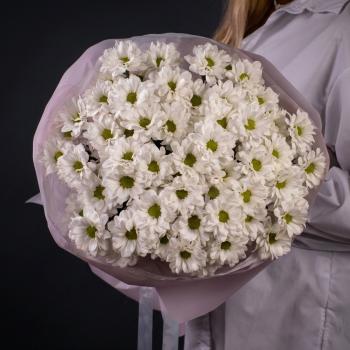 9 белых кустовых хризантем