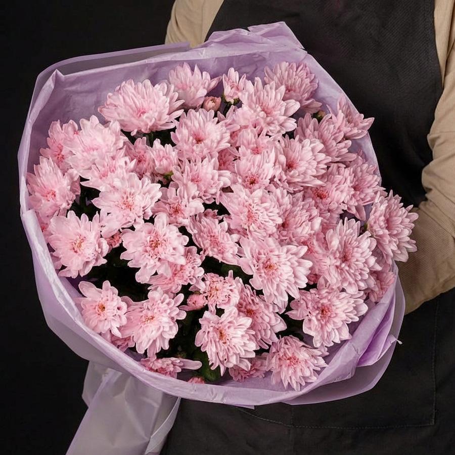 9 розовых кустовых хризантем