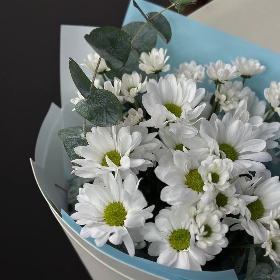 5 белых хризантем с эвкалиптом